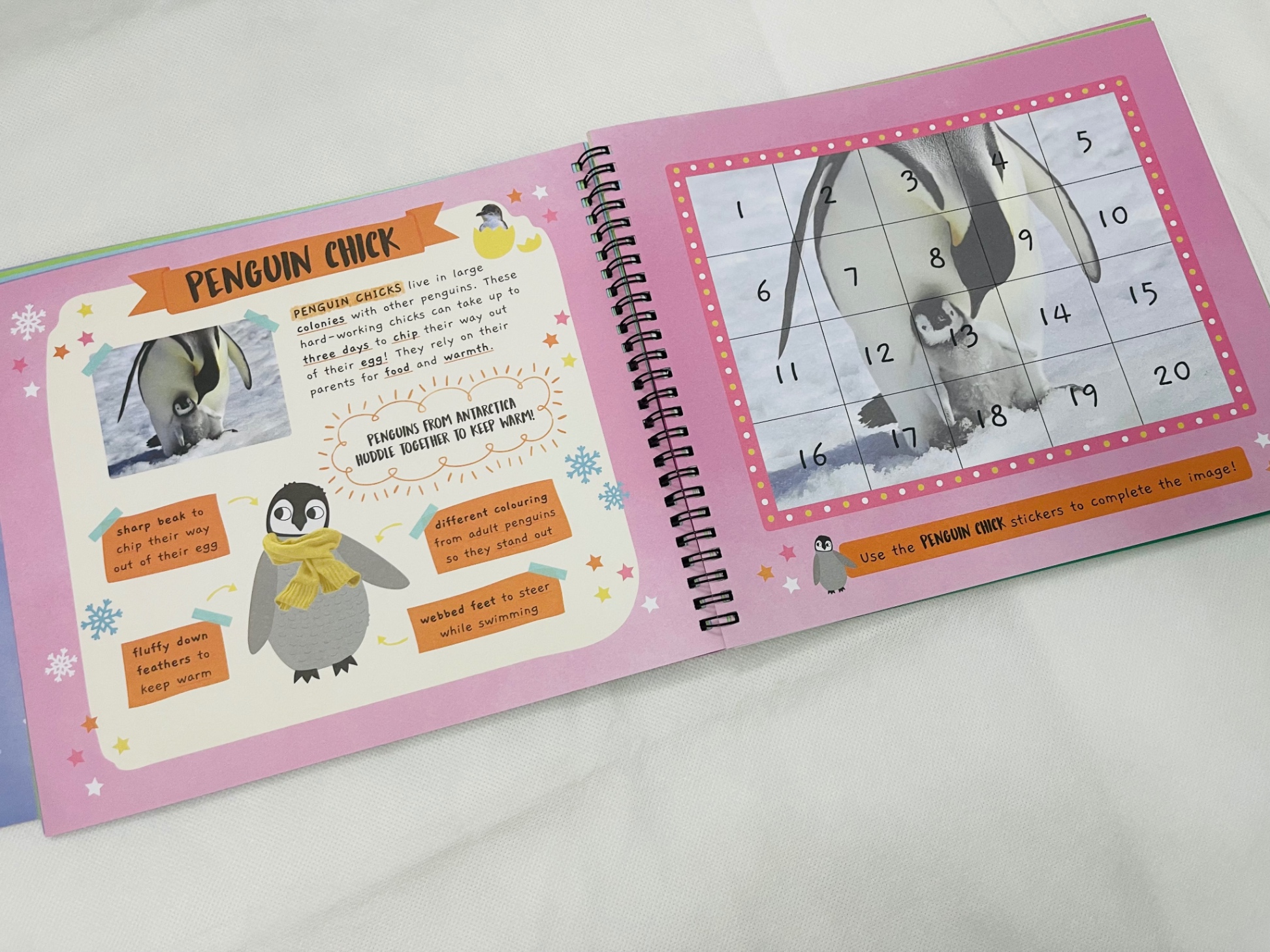 little wonders sticker by number - baby animals - Ảnh 8