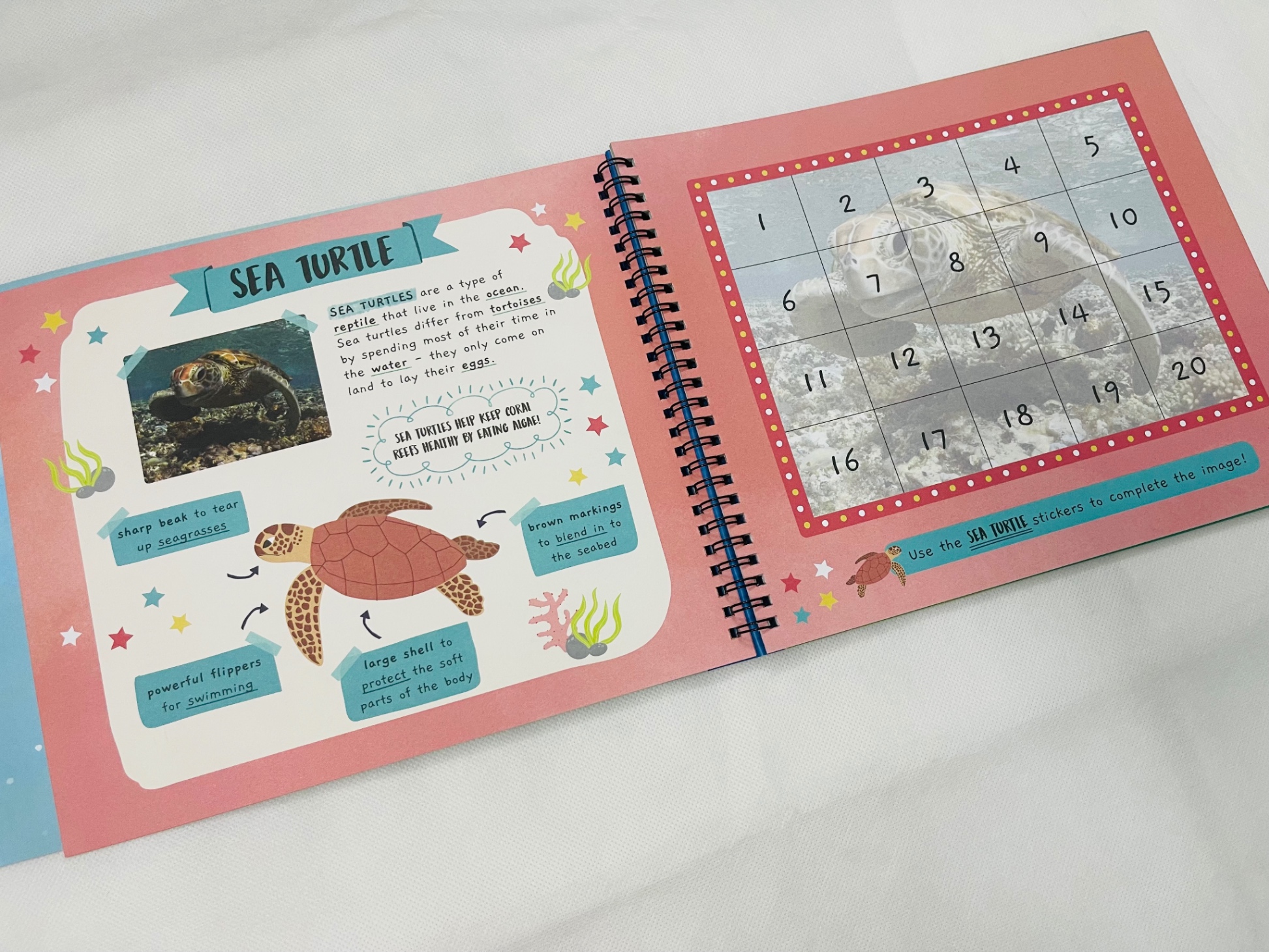 little wonders sticker by number - in the ocean - Ảnh 4