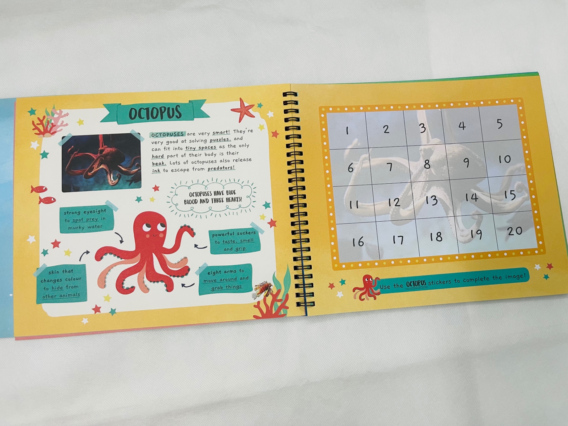 little wonders sticker by number - in the ocean - Ảnh 5