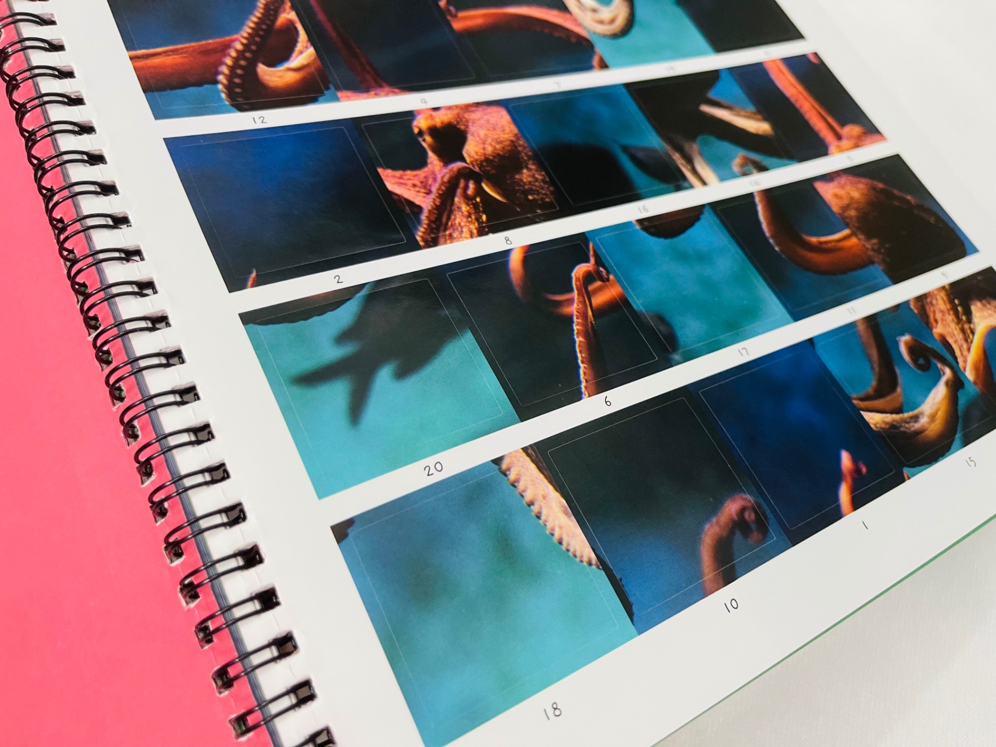 little wonders sticker by number - in the ocean - Ảnh 6