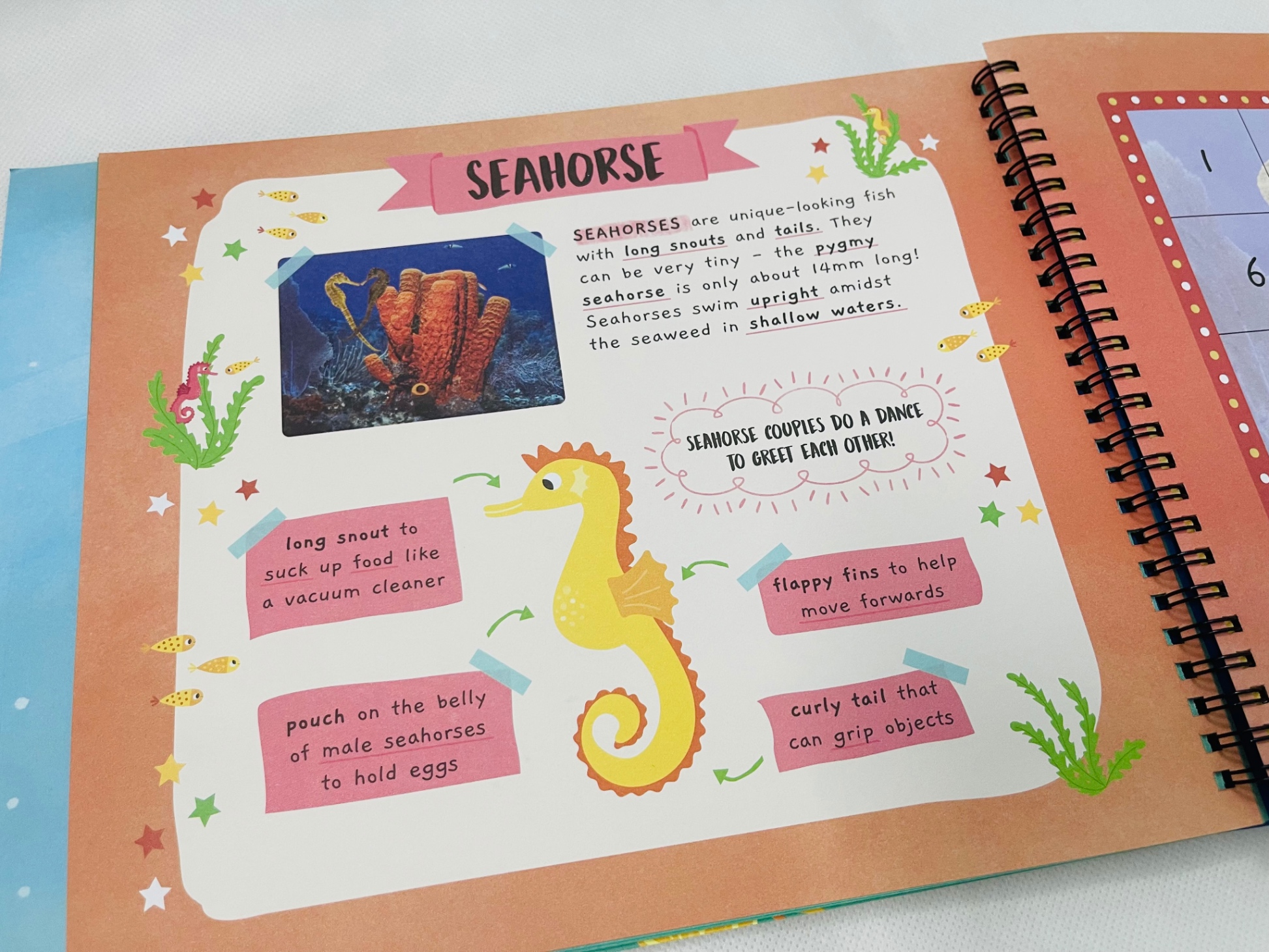 little wonders sticker by number - in the ocean - Ảnh 9