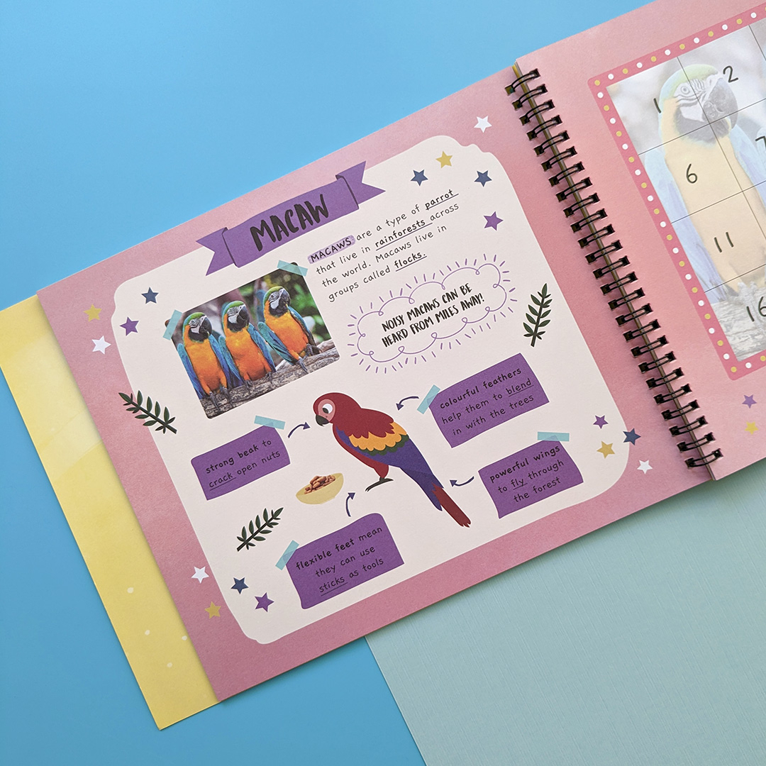 little wonders sticker by number - jungle animals - Ảnh 5