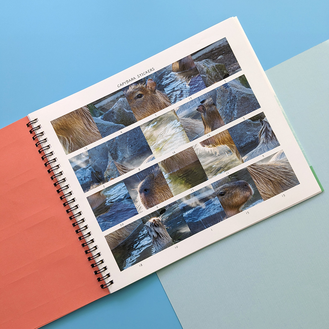 little wonders sticker by number - jungle animals - Ảnh 7