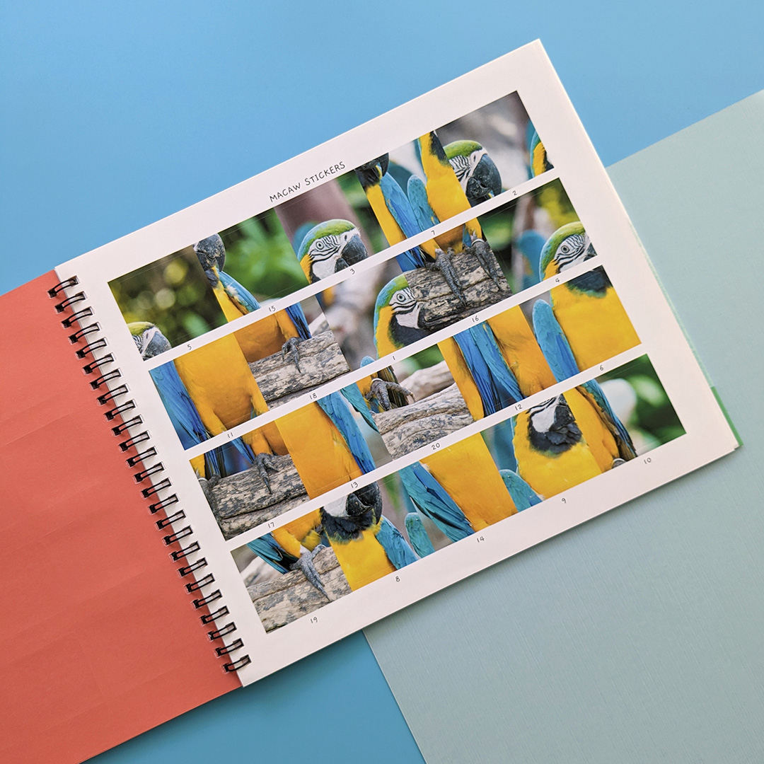 little wonders sticker by number - jungle animals - Ảnh 8