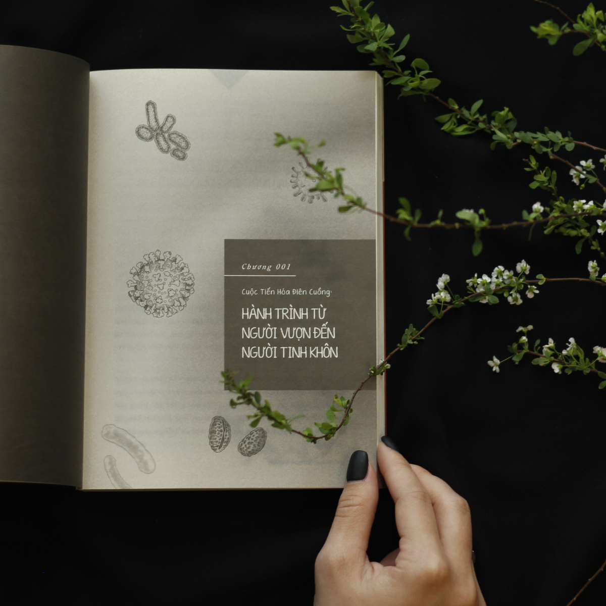 loài người có gì ngoài tinh khôn? - Ảnh 5