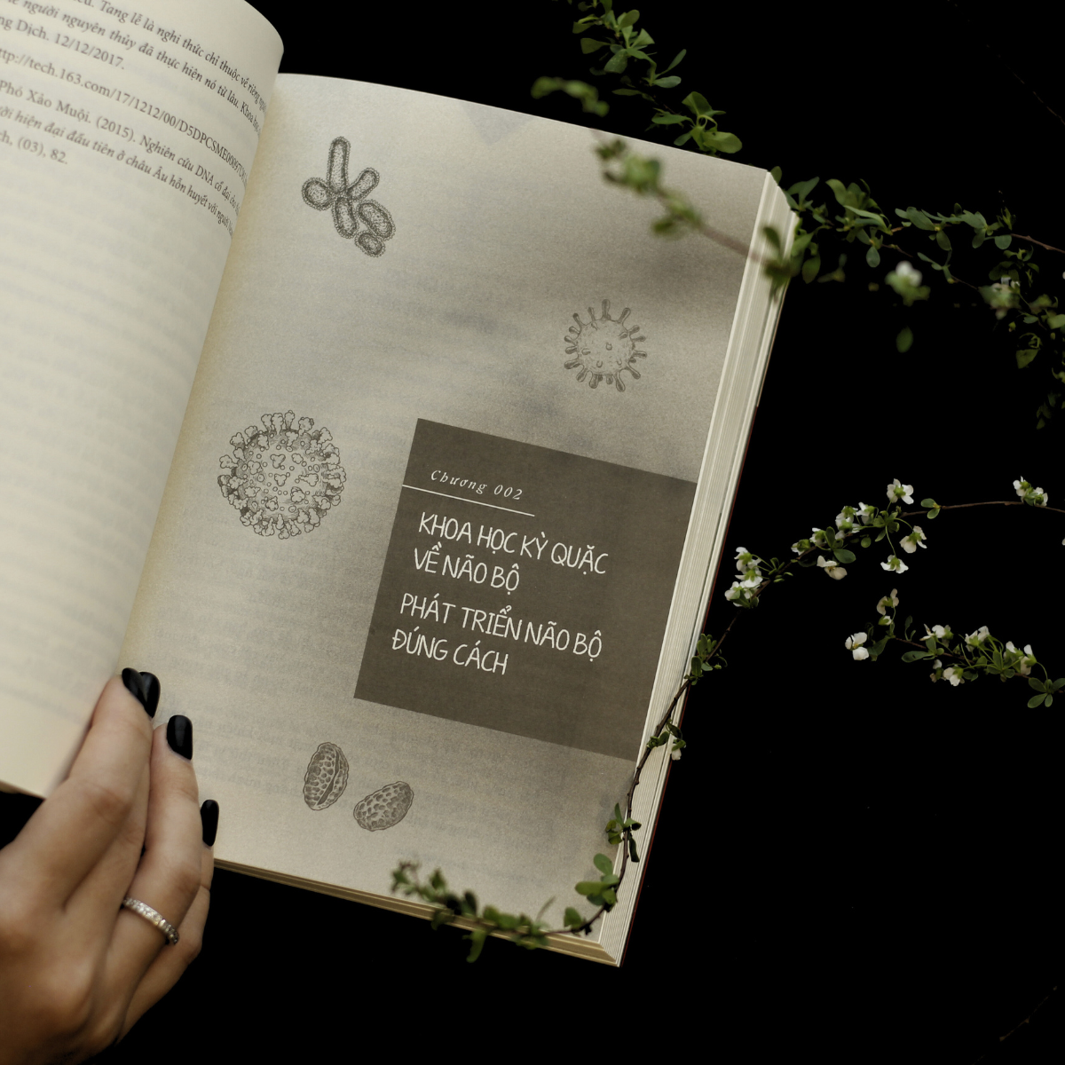 loài người có gì ngoài tinh khôn? - Ảnh 6