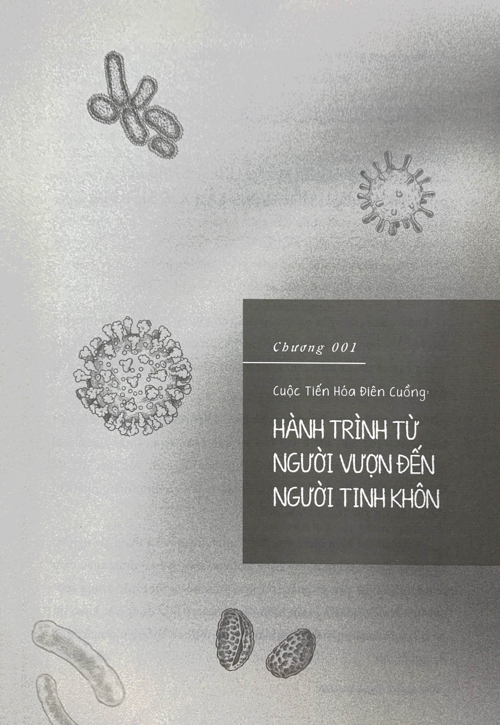 loài người có gì ngoài tinh khôn? - Ảnh 8