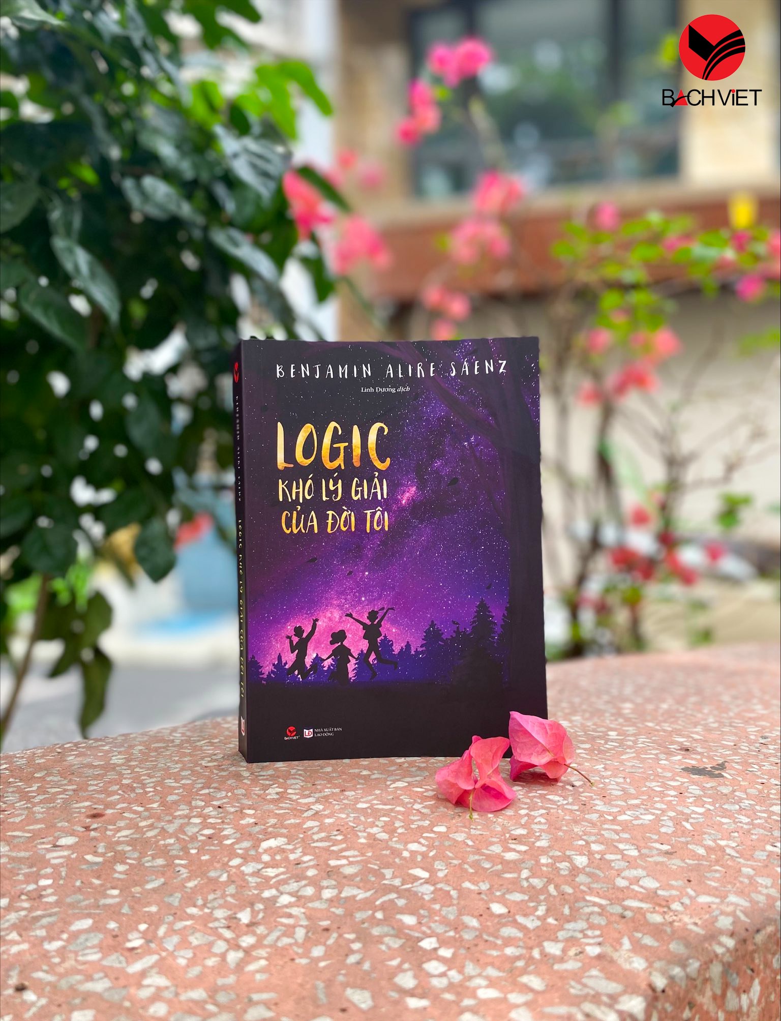 logic khó lý giải của đời tôi - Ảnh 3