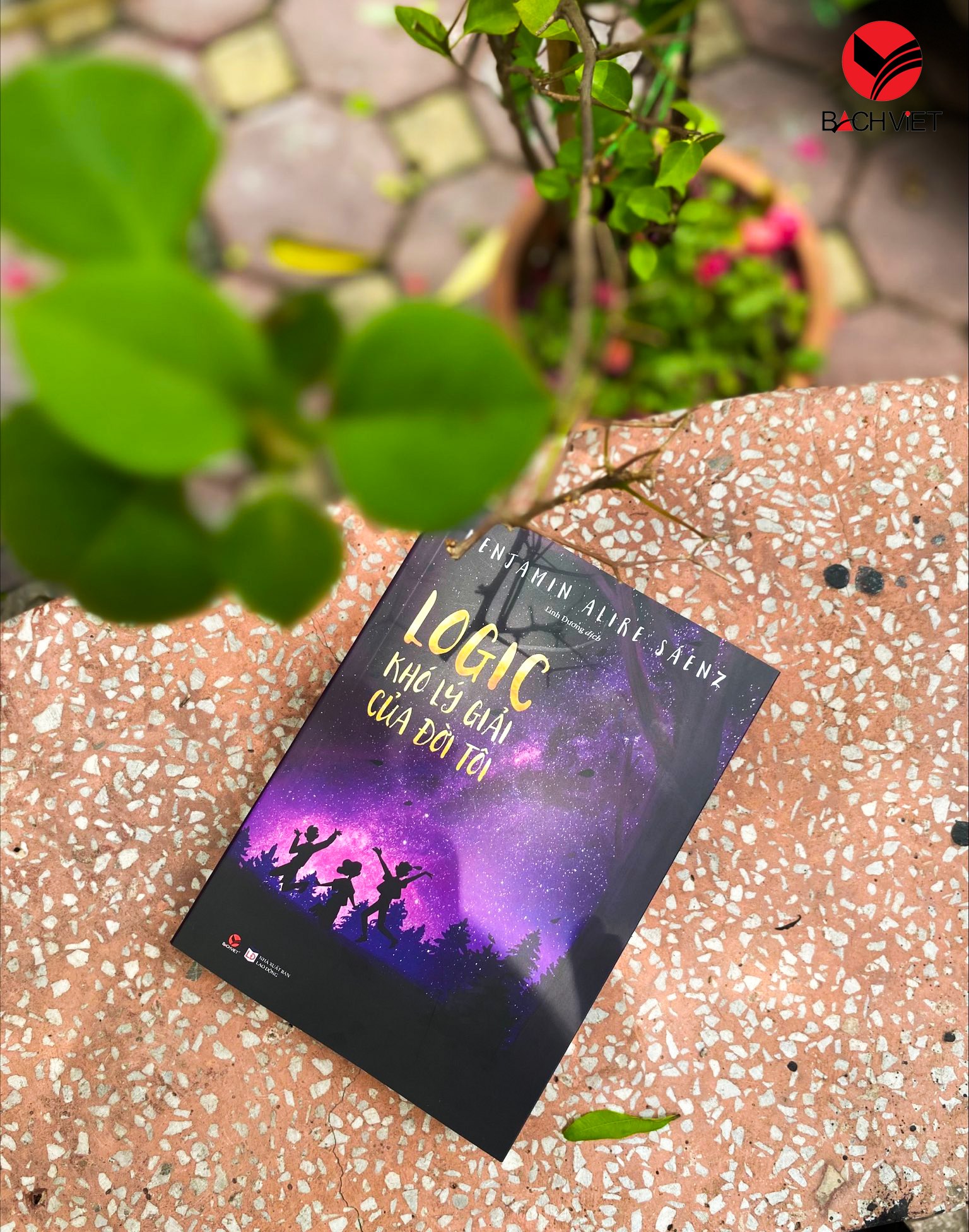 logic khó lý giải của đời tôi - Ảnh 4