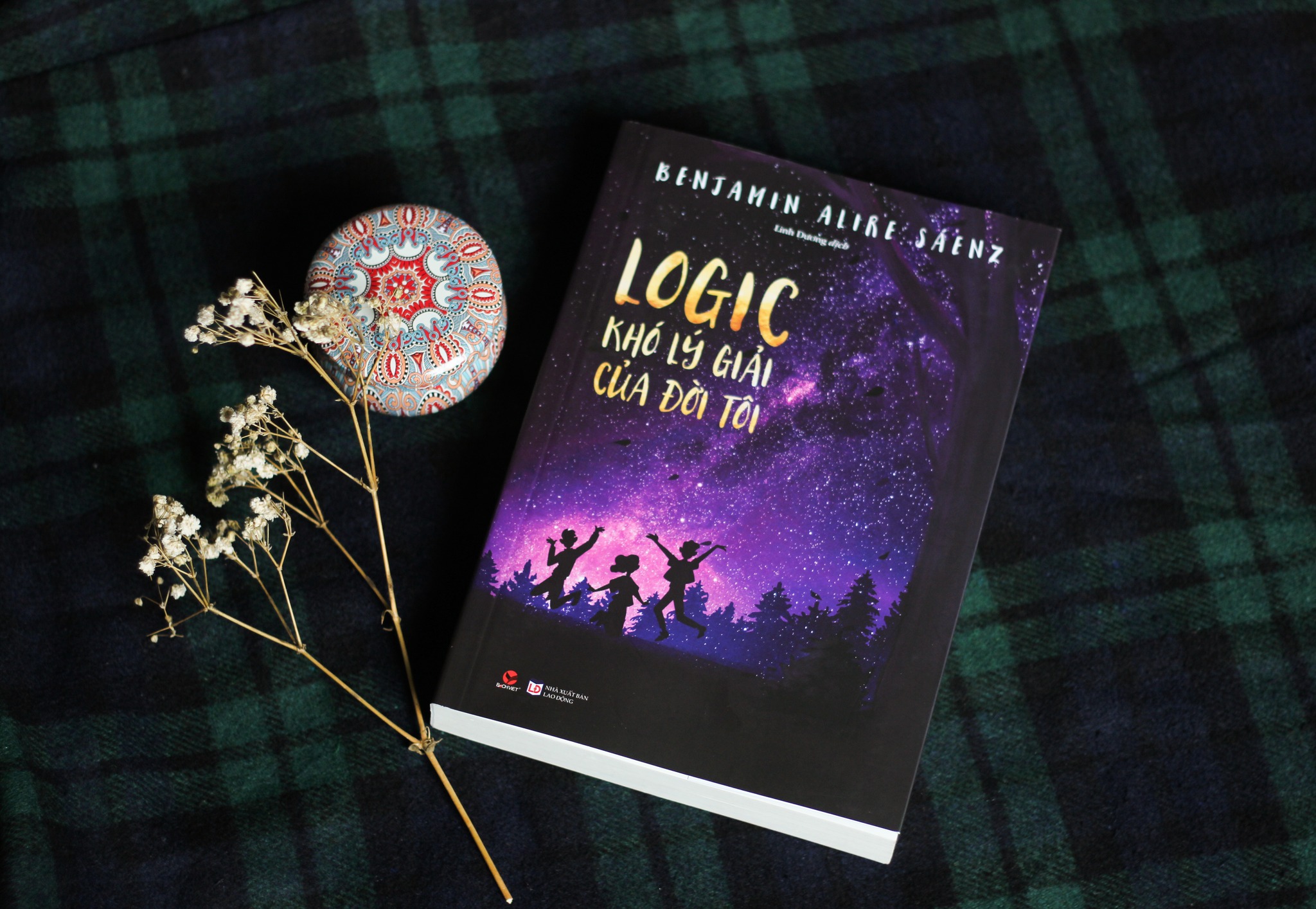 logic khó lý giải của đời tôi - Ảnh 6