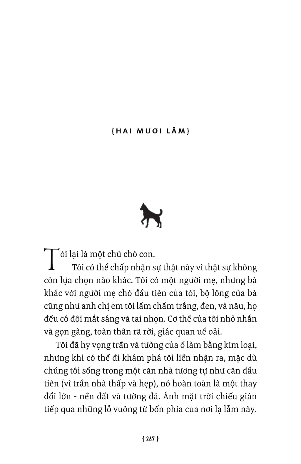lời hứa của một chú chó - a dog's promise - Ảnh 6