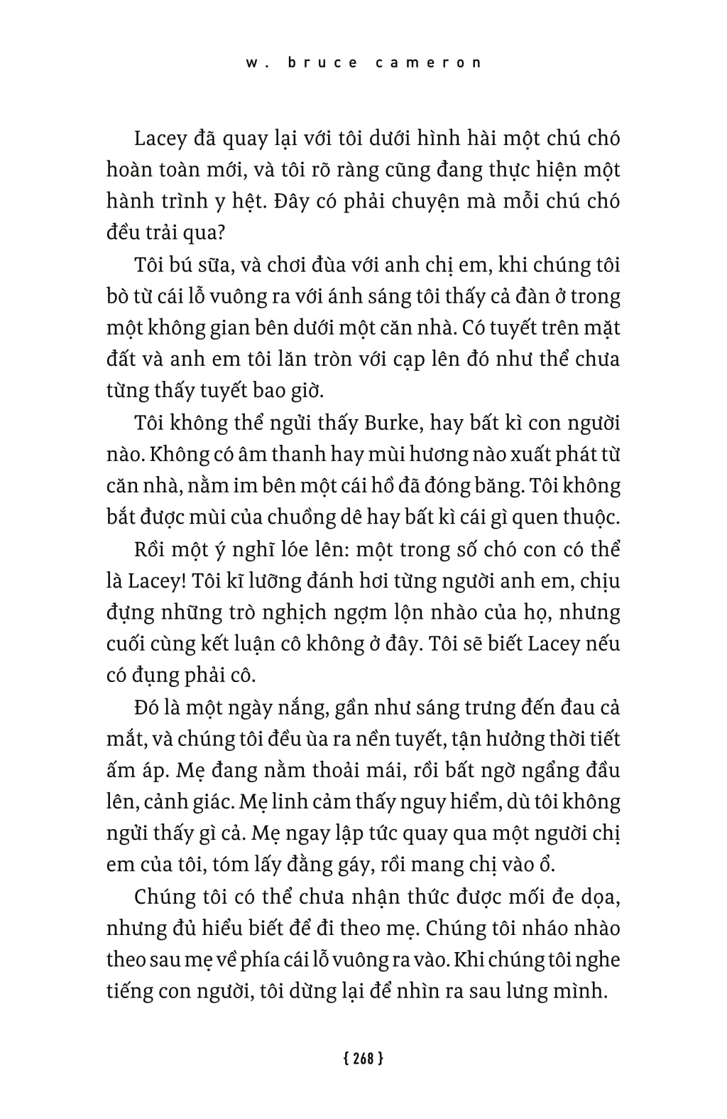 lời hứa của một chú chó - a dog's promise - Ảnh 7