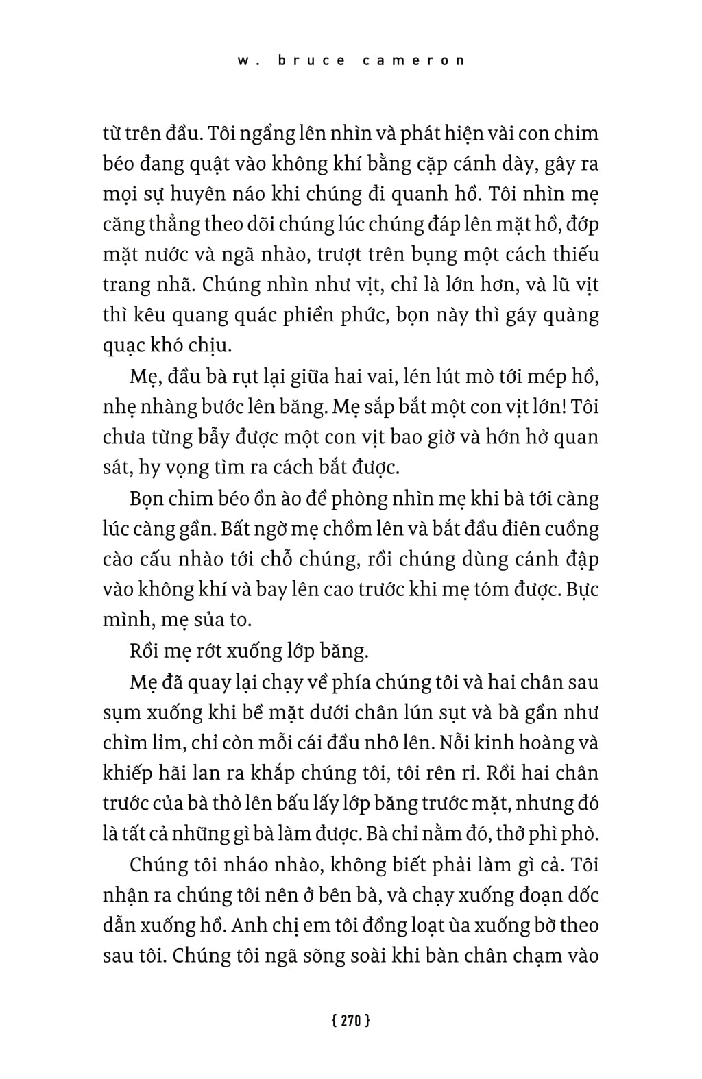 lời hứa của một chú chó - a dog's promise - Ảnh 9