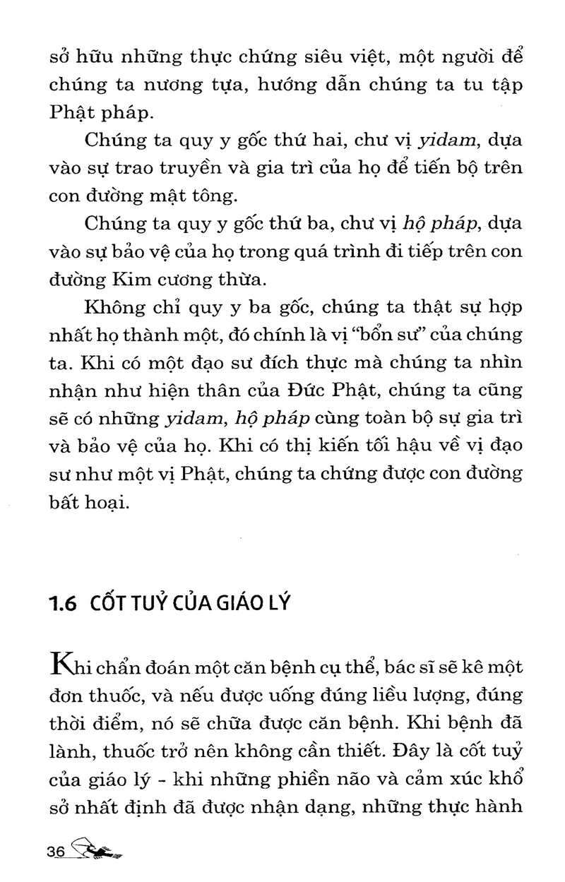 lời khuyên chân thành của đạo sư - Ảnh 12