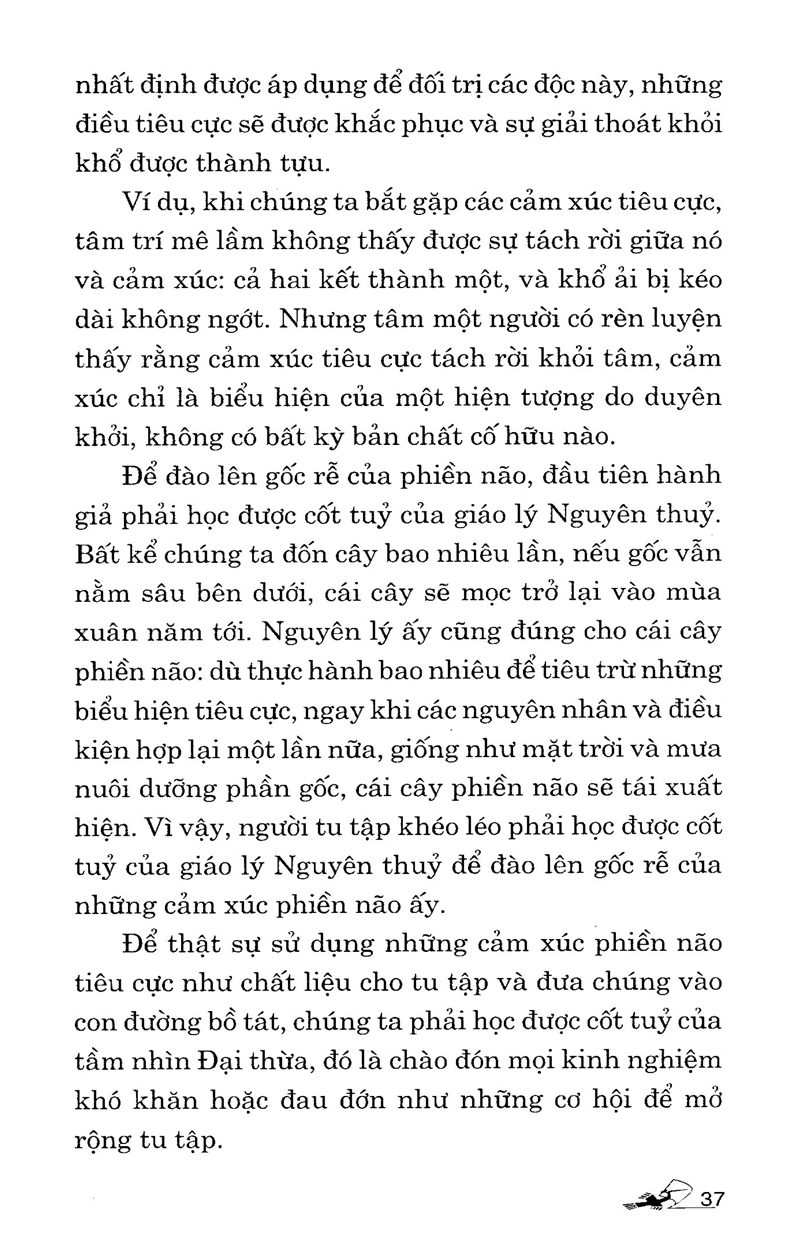 lời khuyên chân thành của đạo sư - Ảnh 13