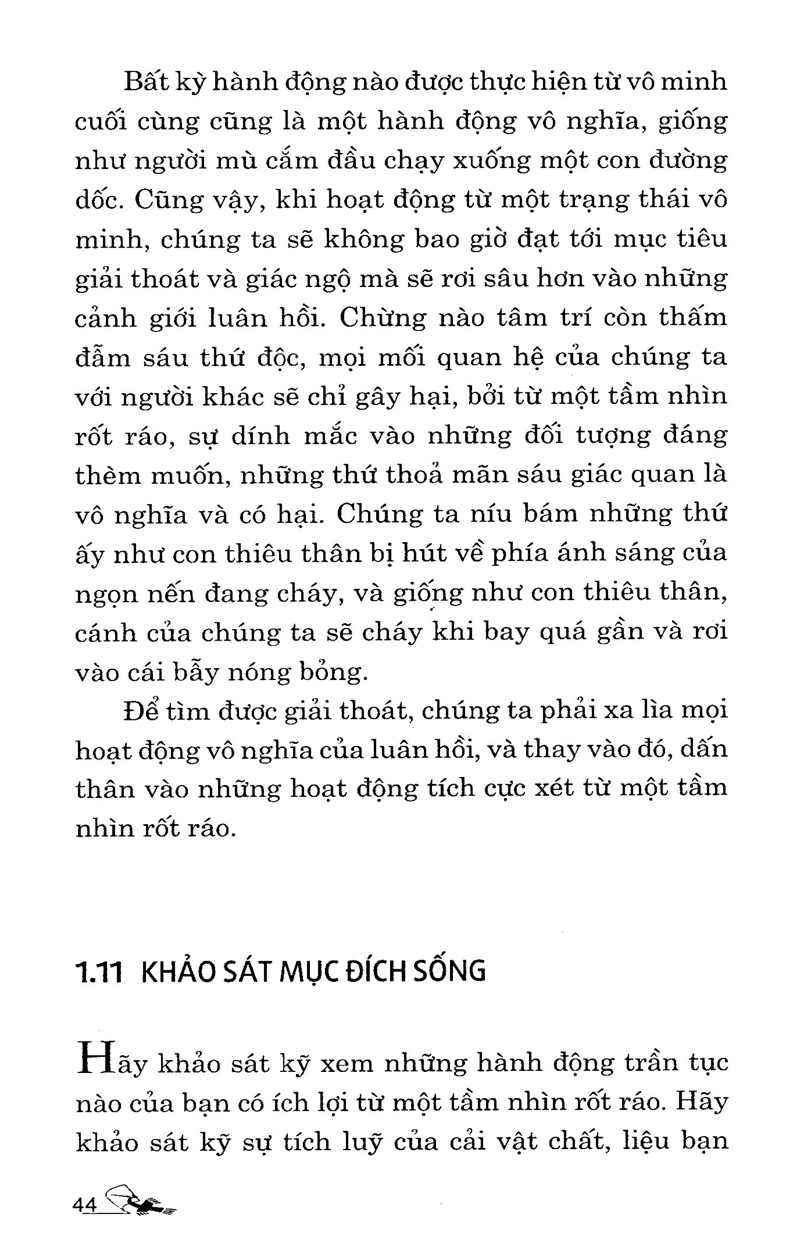 lời khuyên chân thành của đạo sư - Ảnh 20