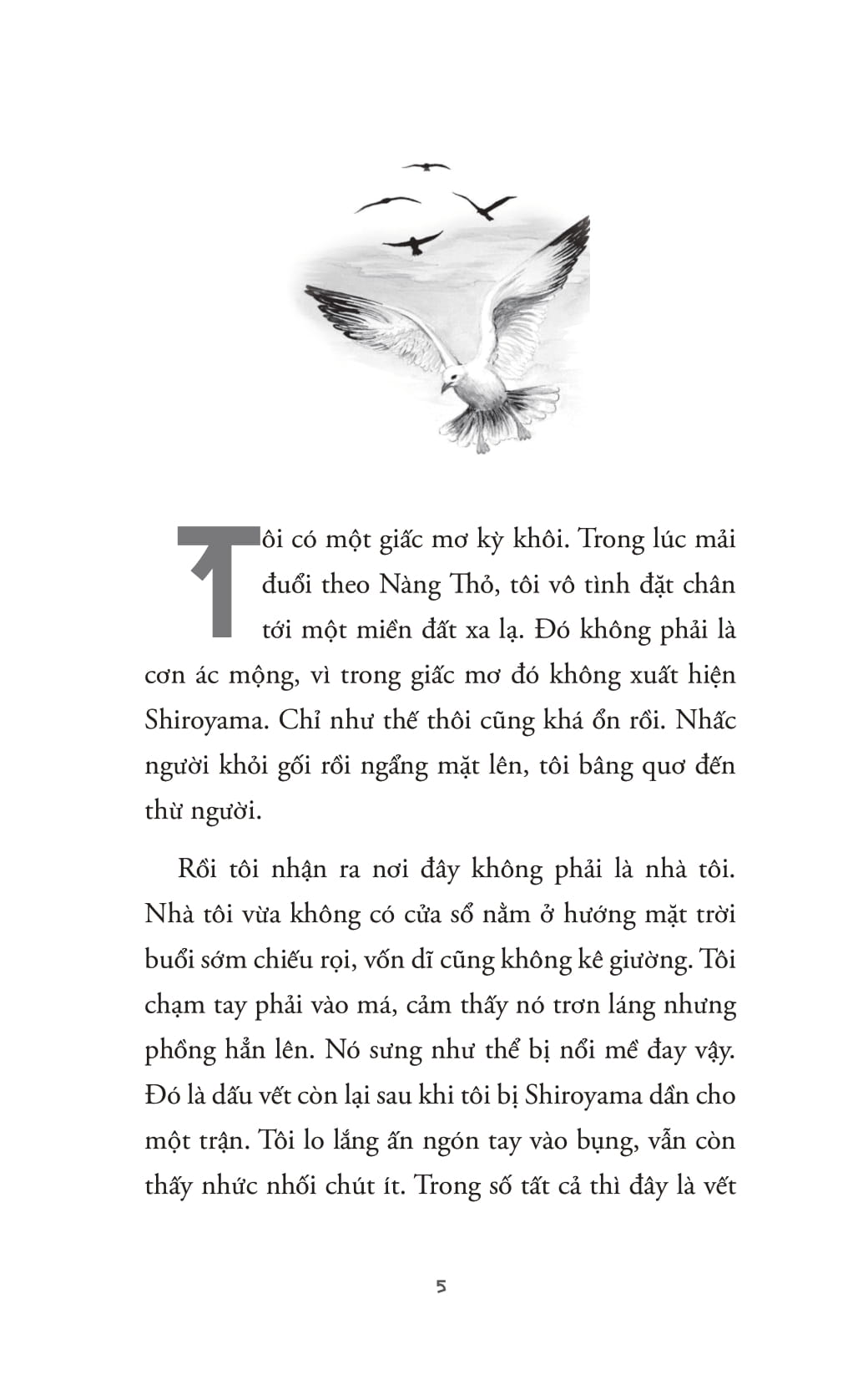 Lời Nguyền Bù Nhìn Rơm - Ảnh 4