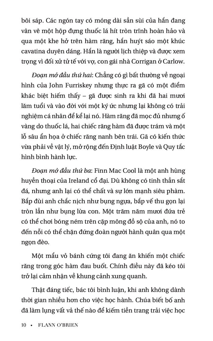 lời nguyền theo cánh thiên di - Ảnh 6