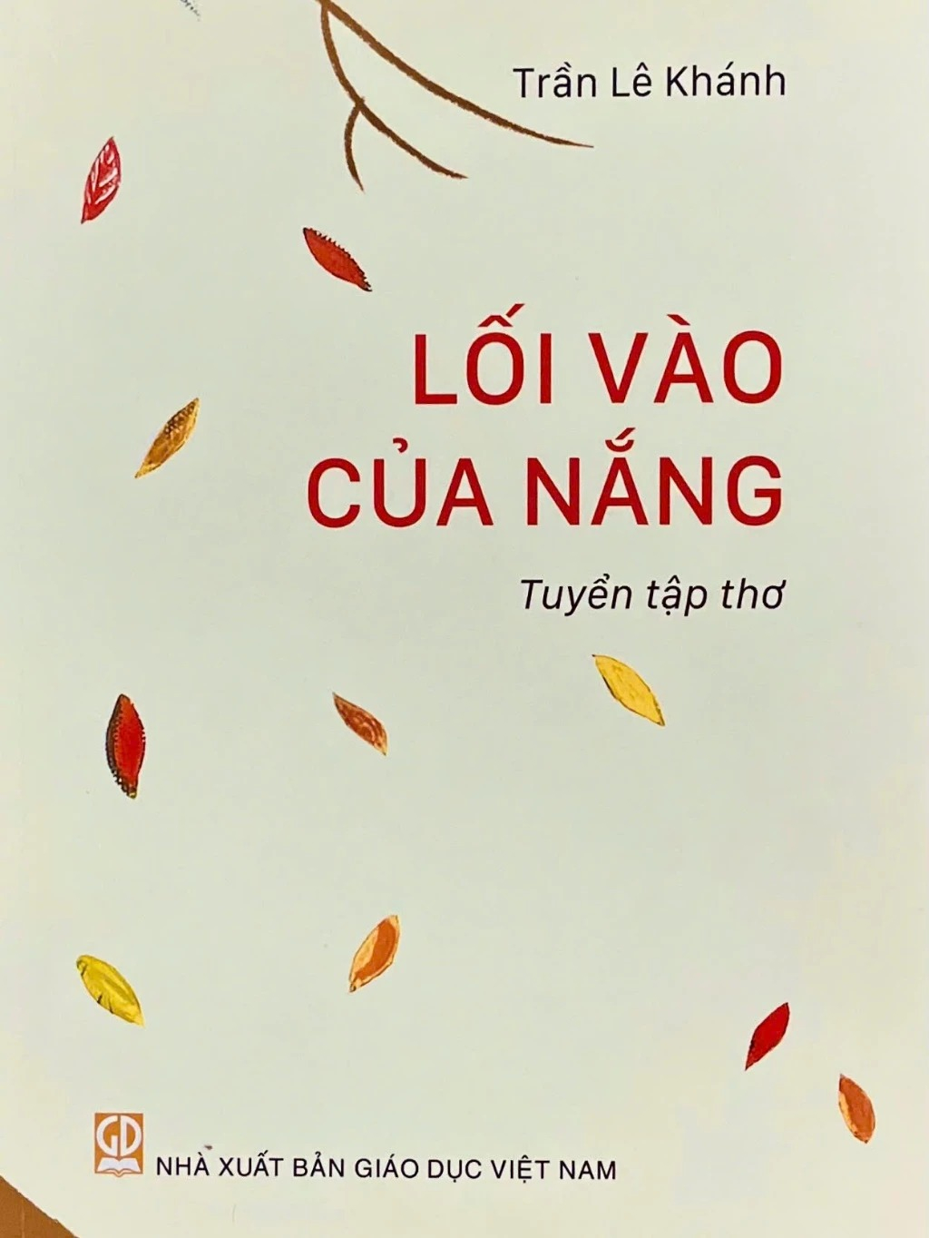 Lối Vào Của Nắng - Ảnh 2