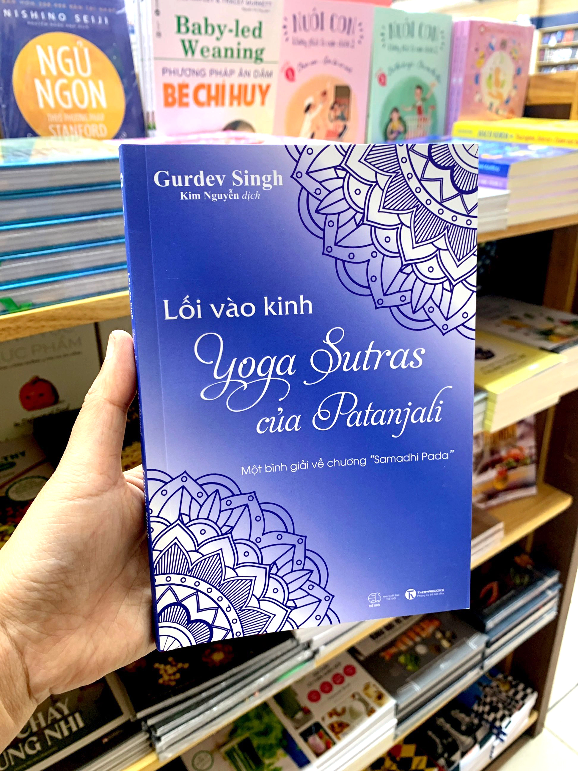 lối vào kinh yoga sutras của patanjali - một bình giải về chương “samadhi pada” - Ảnh 9