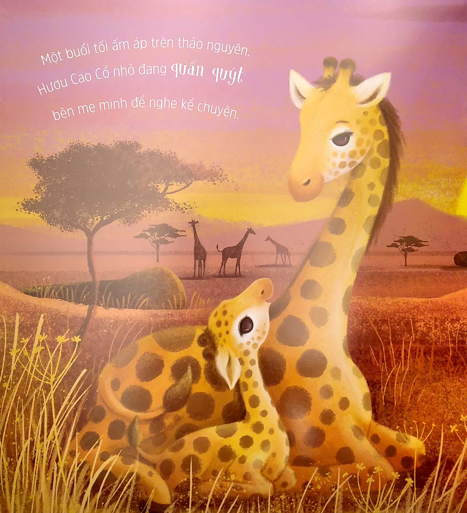 lời yêu thương của mẹ - Ảnh 3