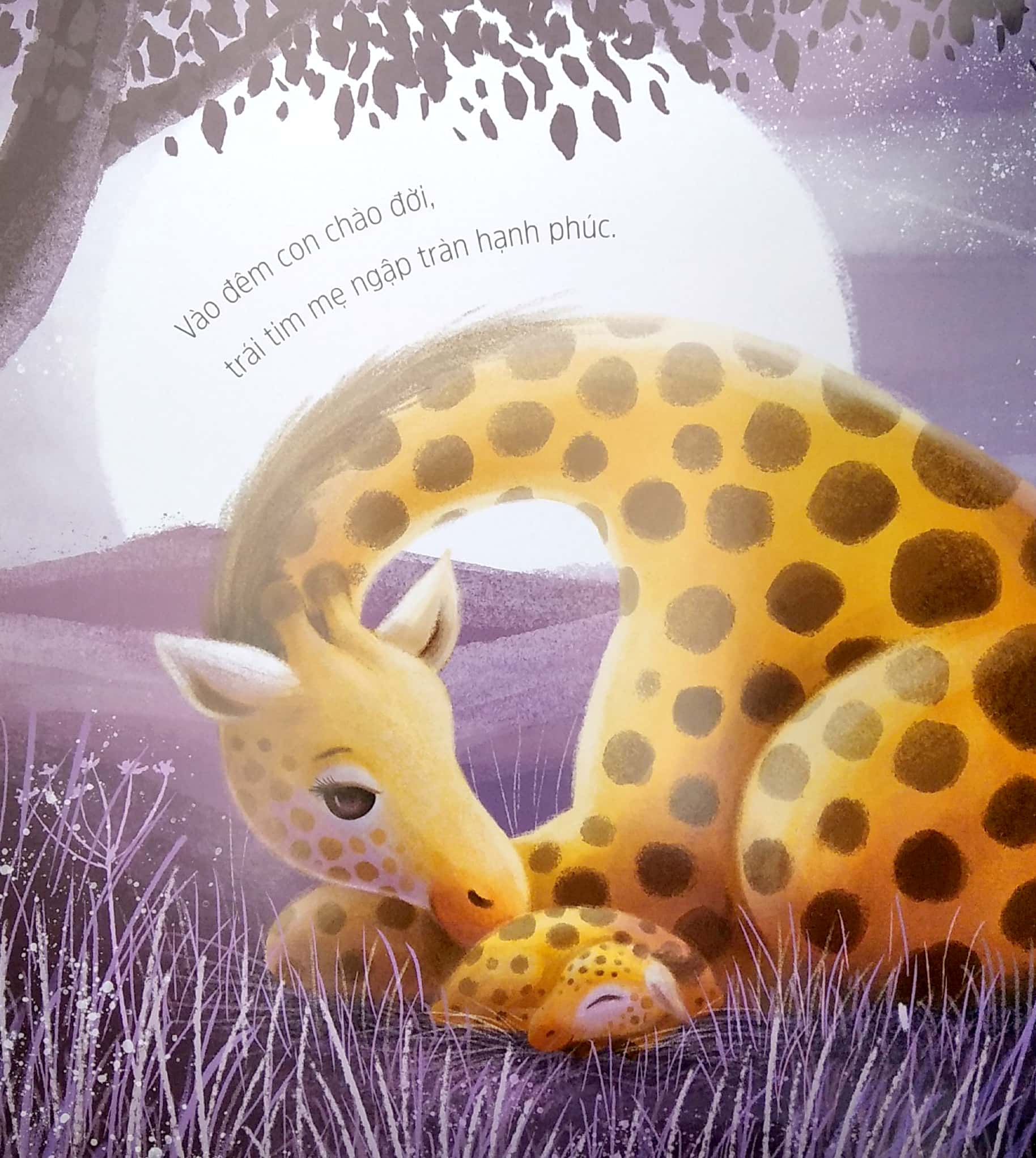 lời yêu thương của mẹ - Ảnh 5