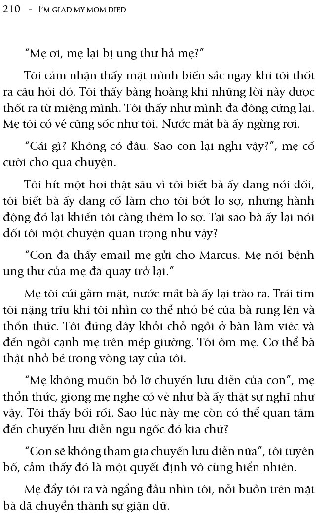 lòng tôi nhẹ khi mẹ rời xa - Ảnh 10