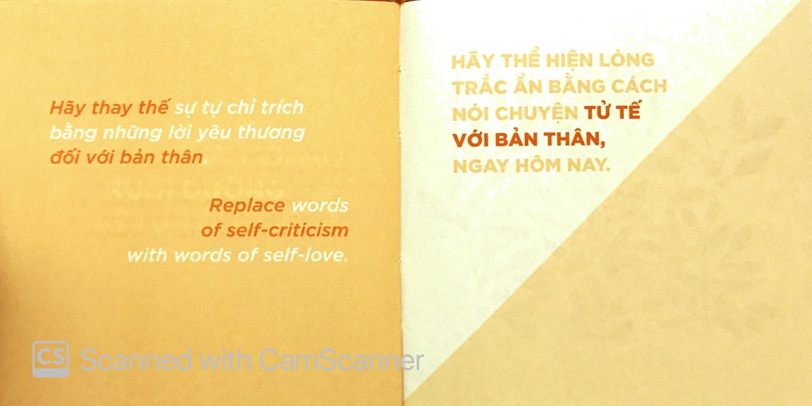 lòng trắc ẩn - Ảnh 5