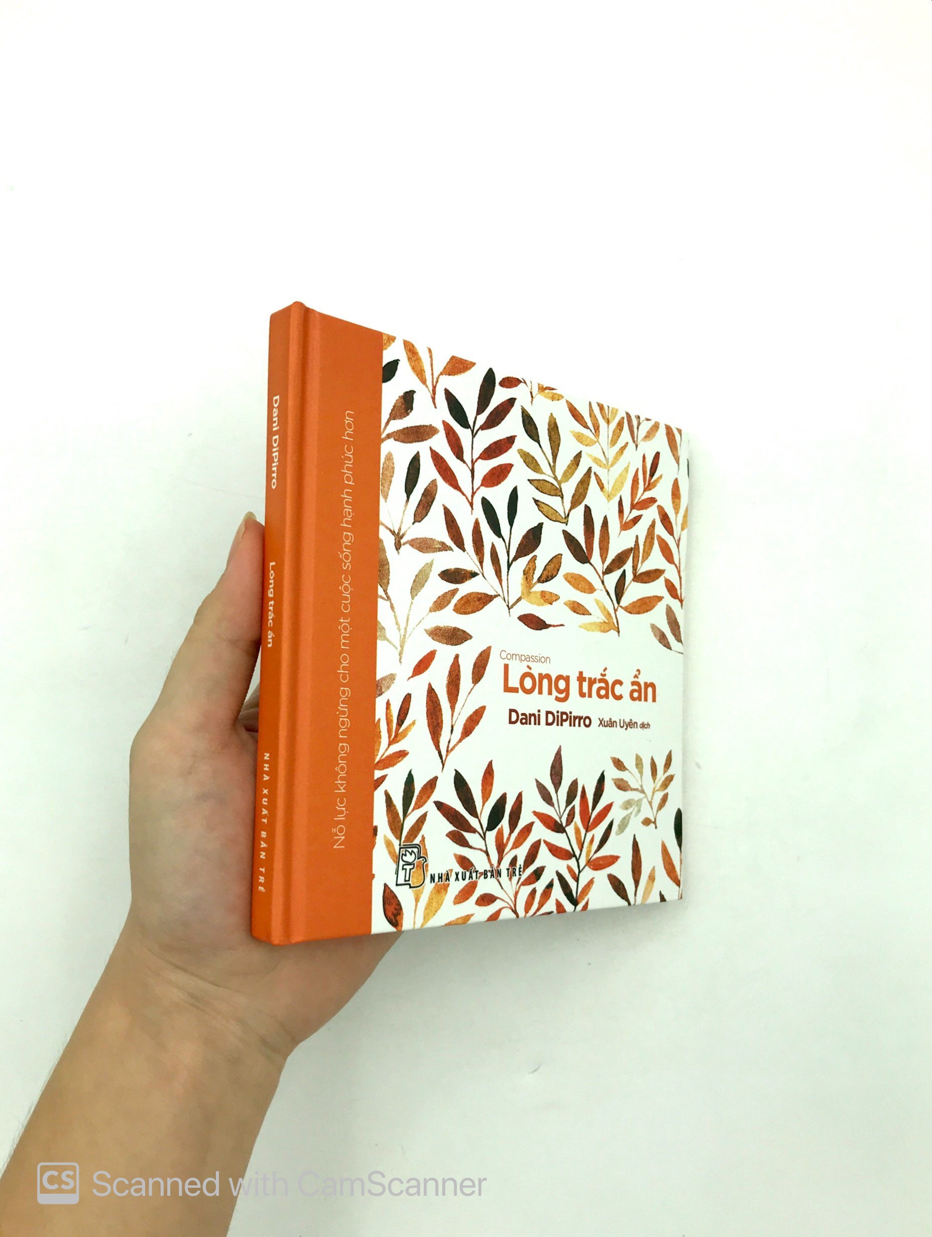 lòng trắc ẩn - Ảnh 6