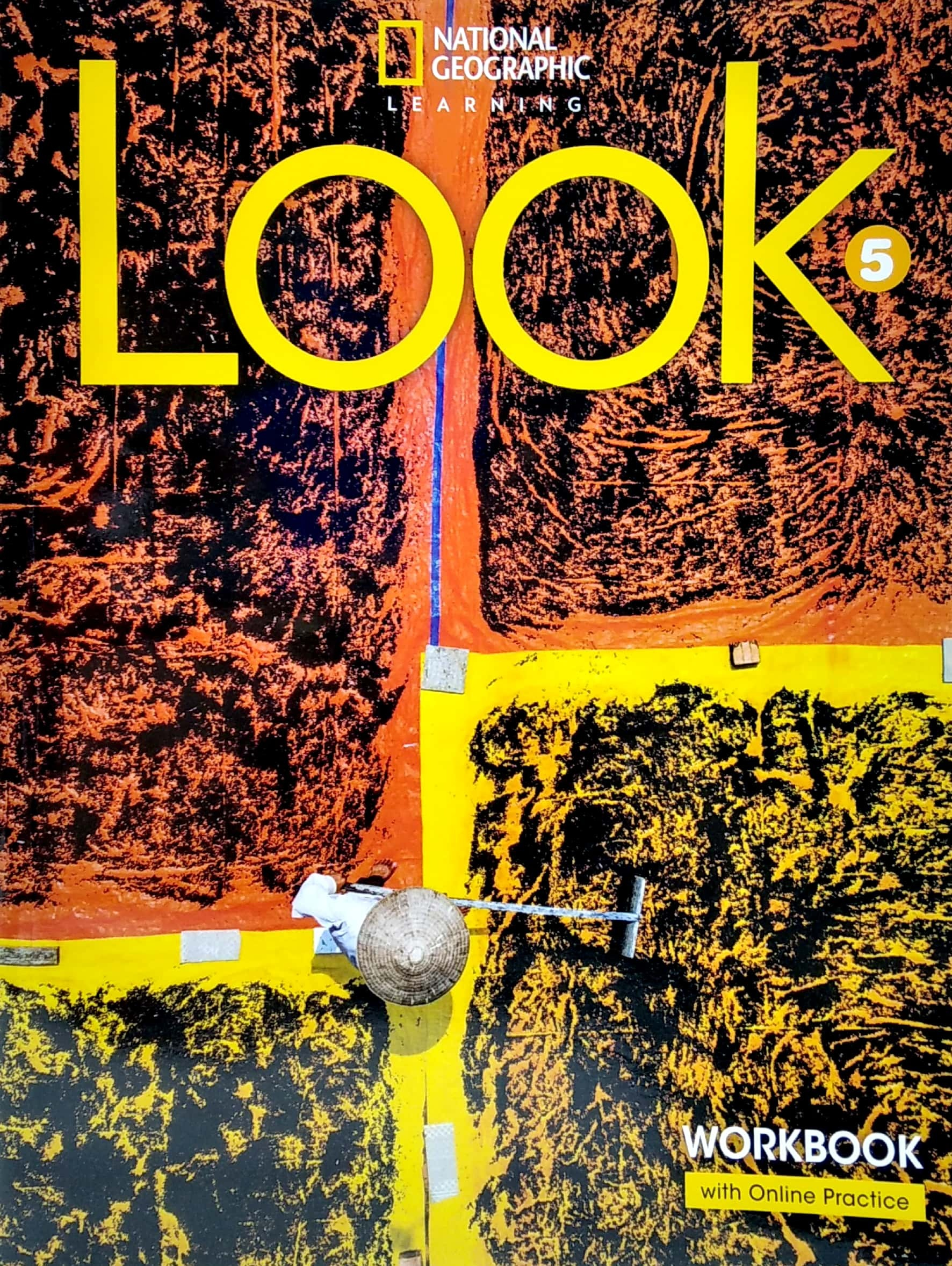 look 5 - workbook with online practice (bre) - Ảnh 2