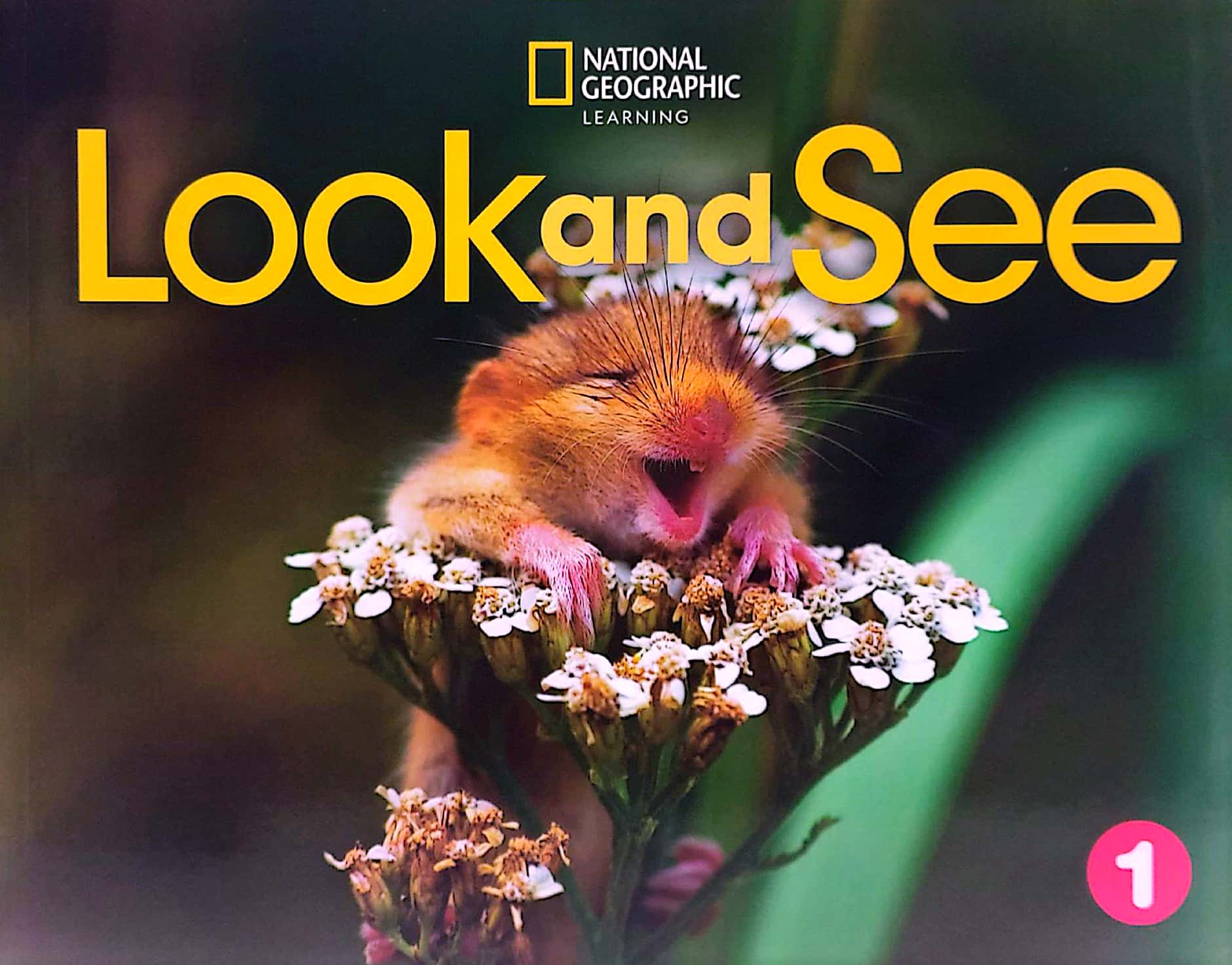 look and see 1 ame: student's book with online practice and studentℹs ebook - Ảnh 2