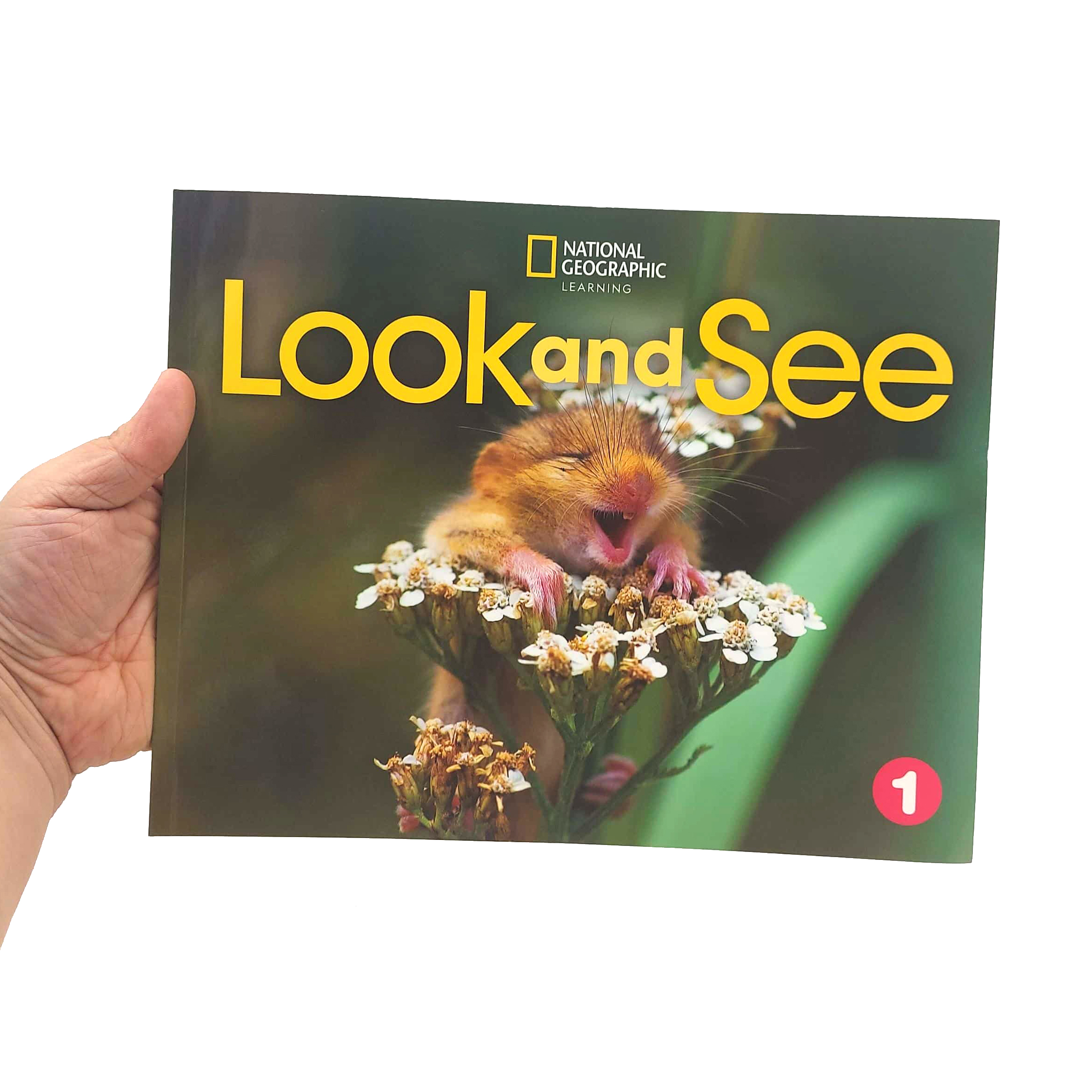 look and see 1 ame: student's book with online practice and studentℹs ebook - Ảnh 8