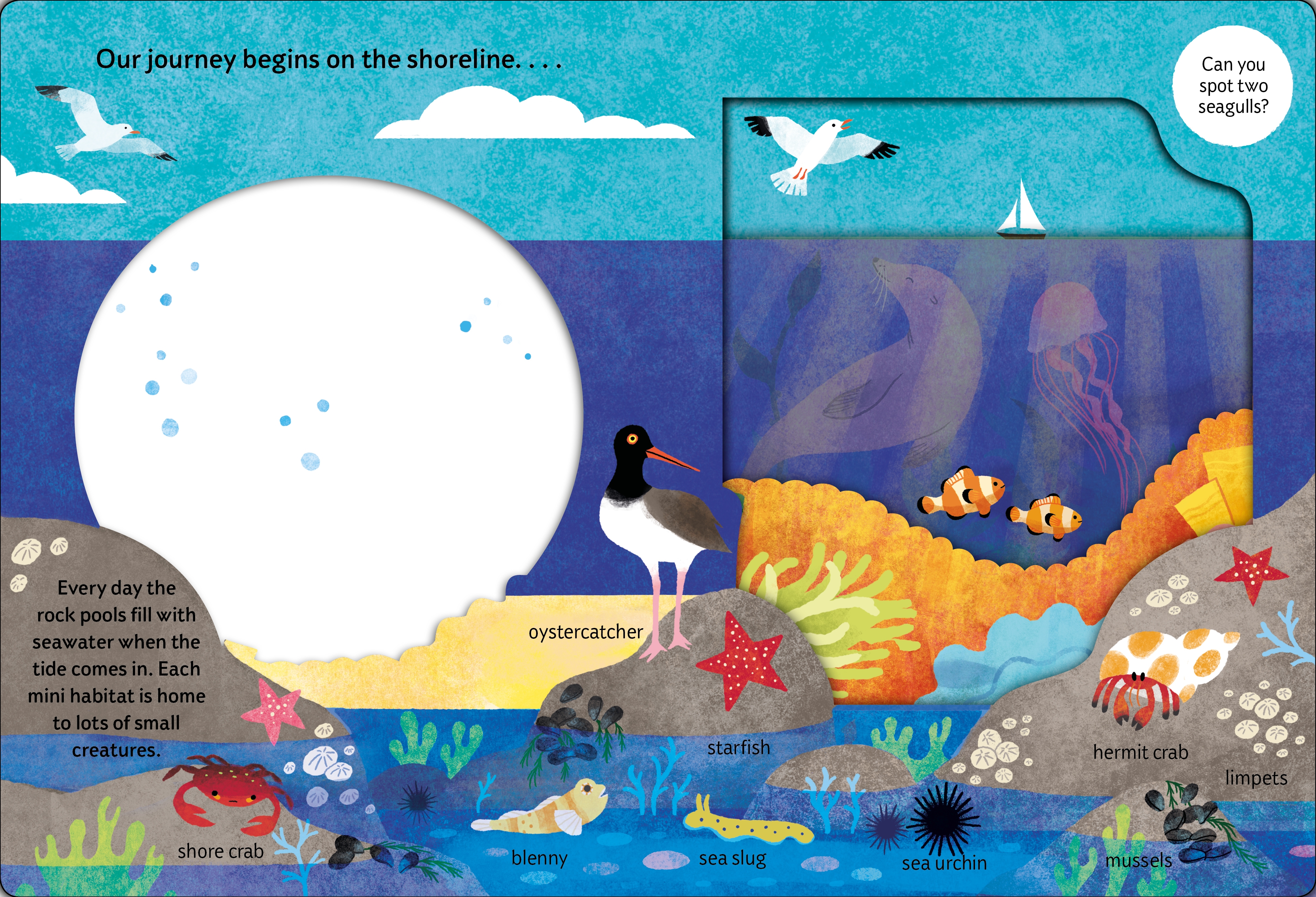 look closer: under the ocean - Ảnh 2