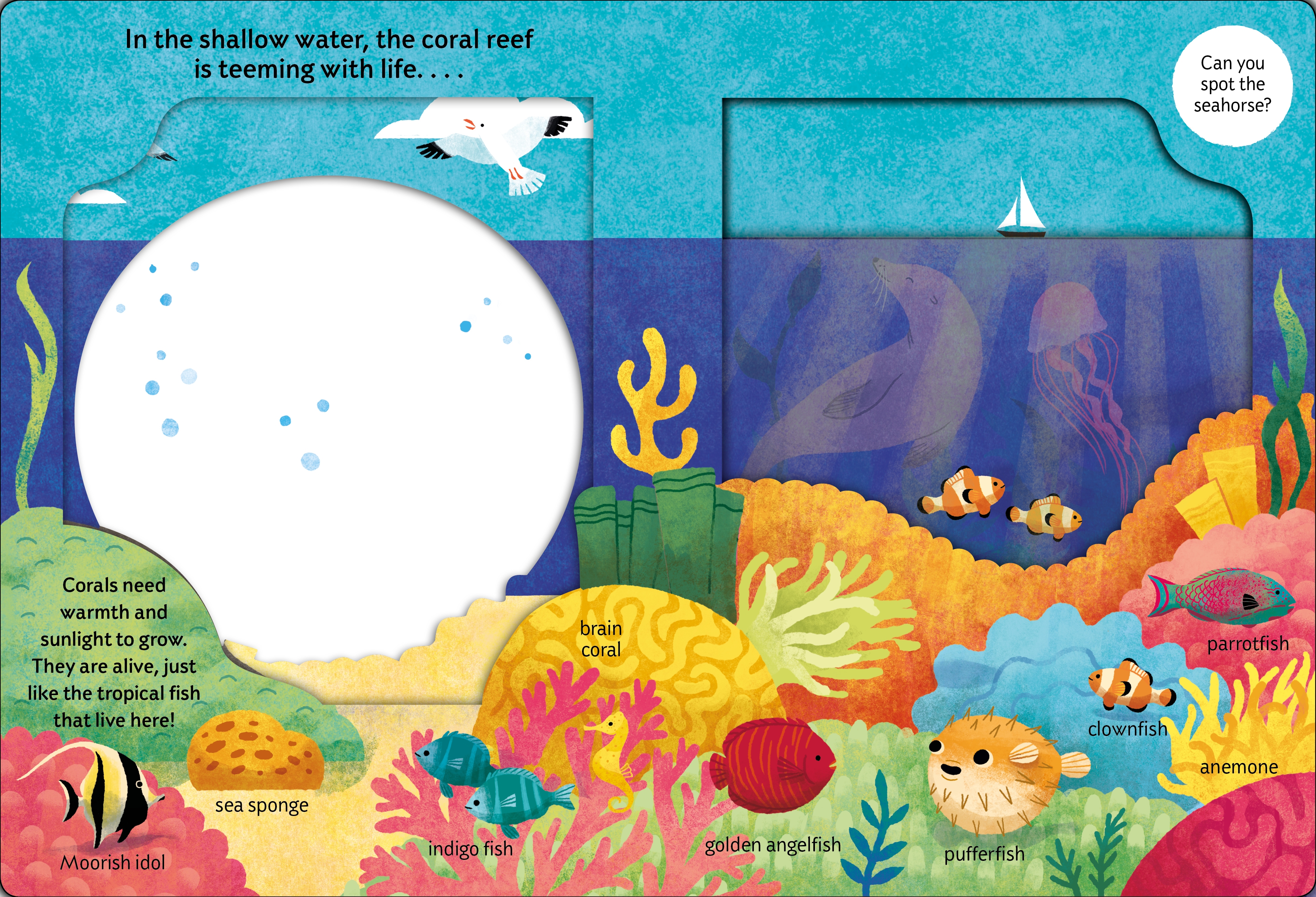 look closer: under the ocean - Ảnh 3