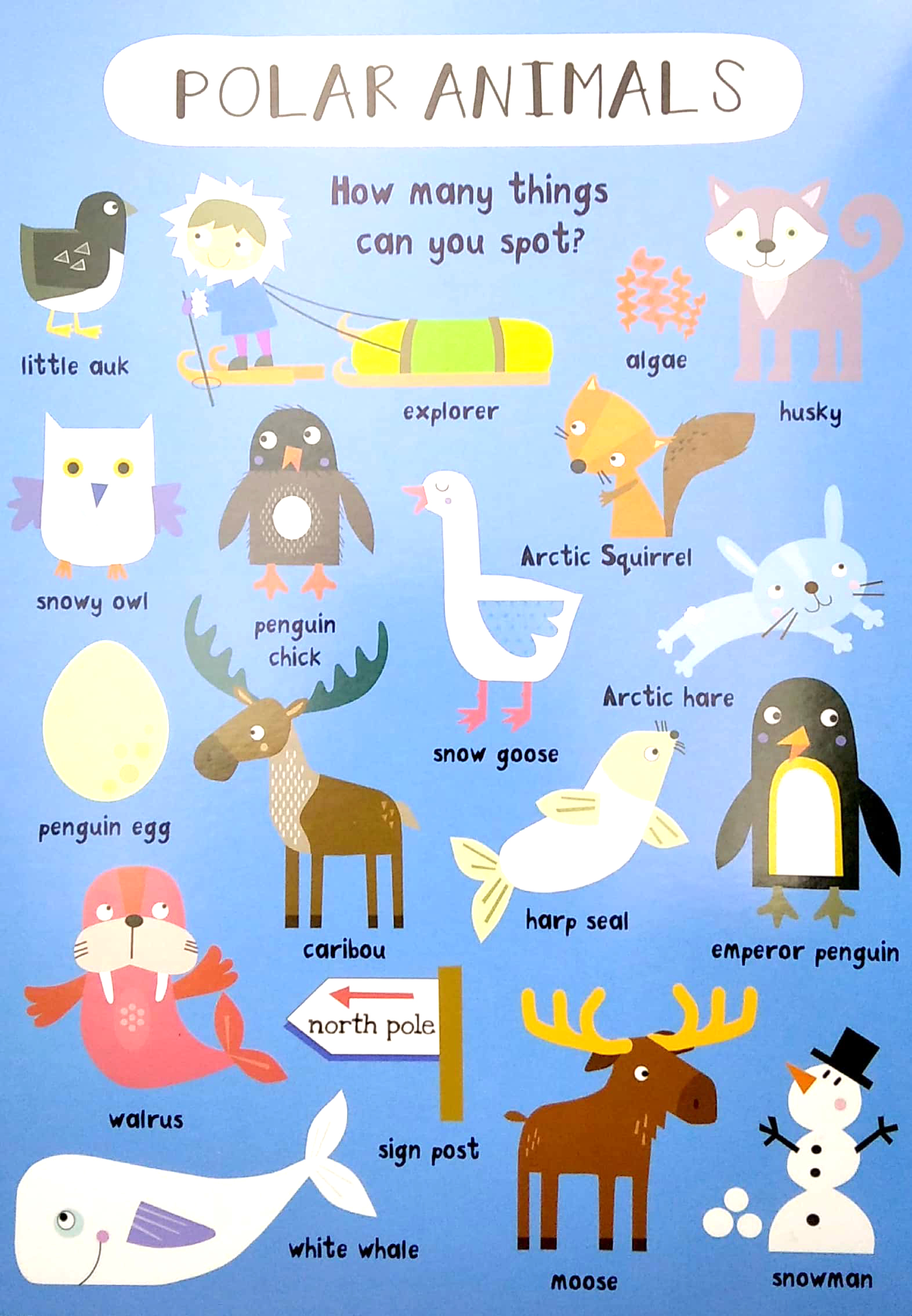 look & find: animals - Ảnh 5