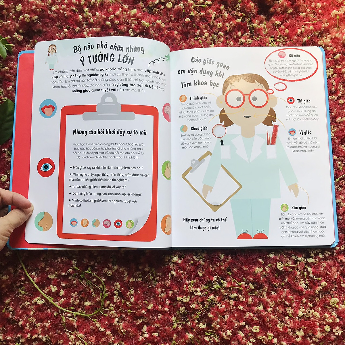 look! i'm a scientist! tớ là nhà khoa học - Ảnh 3