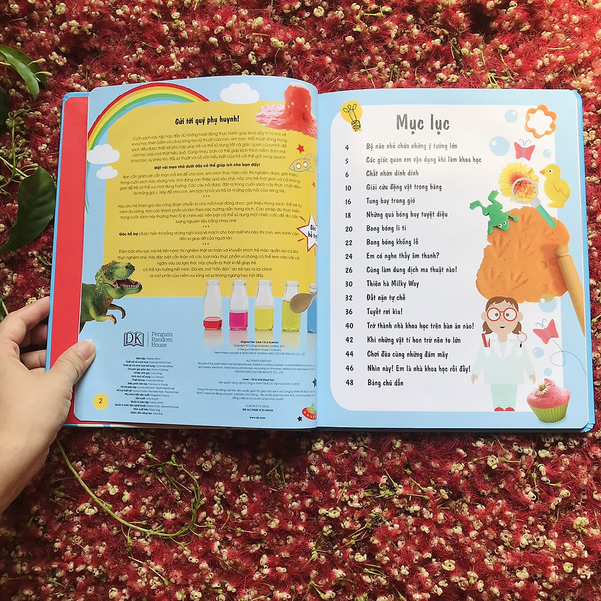 look! i'm a scientist! tớ là nhà khoa học - Ảnh 4