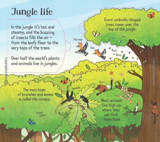 look inside the jungle - Ảnh 4