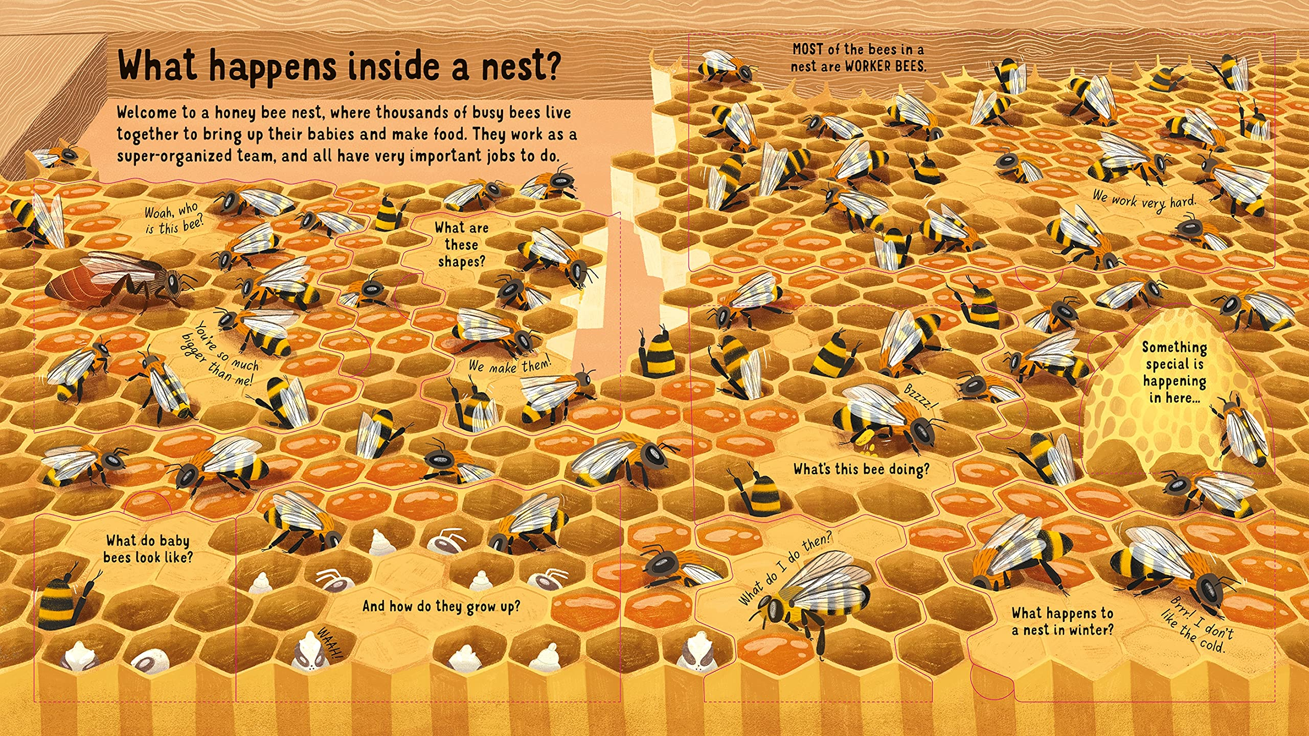 look inside the world of bees - Ảnh 4