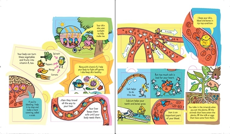 look inside what happens when you eat - Ảnh 4