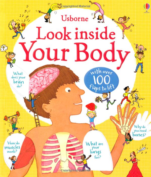 look inside: your body - Ảnh 2