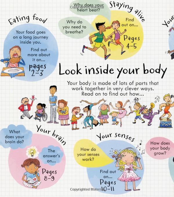 look inside: your body - Ảnh 3