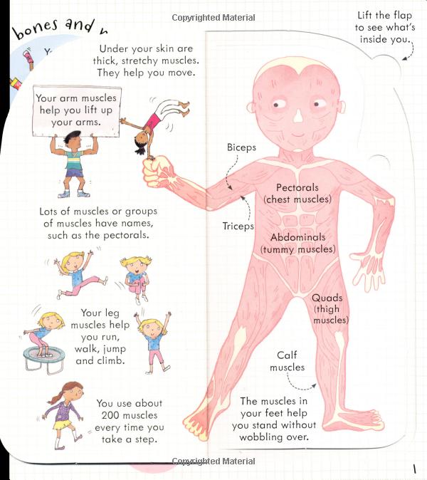 look inside: your body - Ảnh 5
