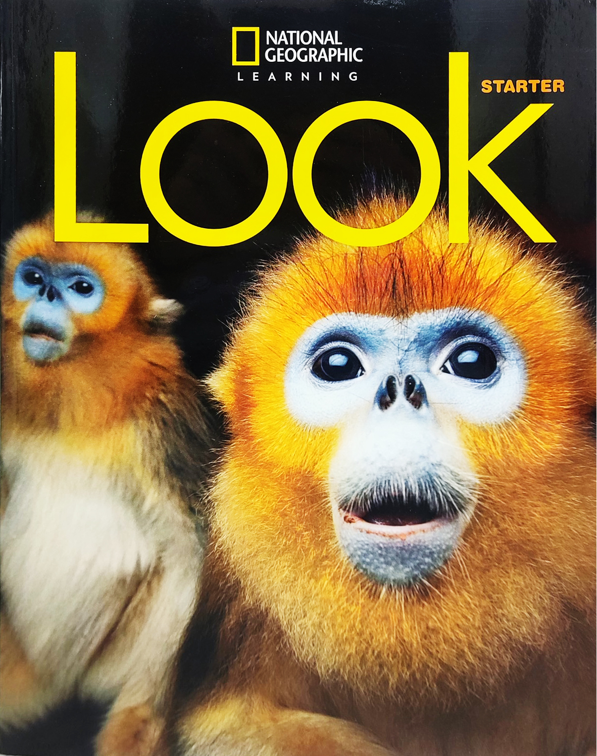 look starter british english student book - Ảnh 2