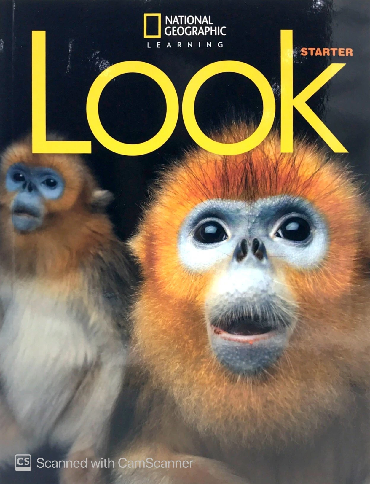 look starter (look, american english) student book - Ảnh 3