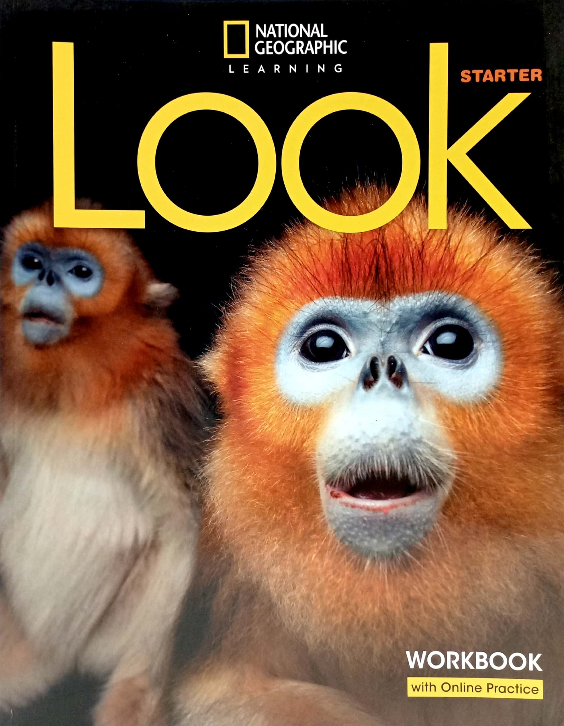 look starter: workbook with online practice - Ảnh 2