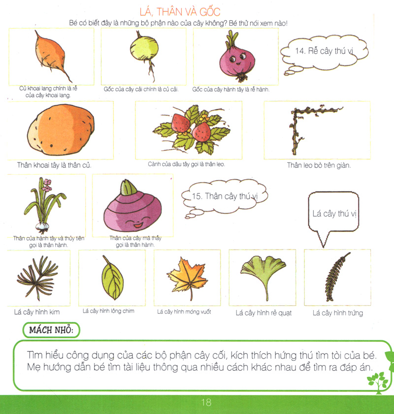 lớp học gia đình (6 tuổi) - Ảnh 17