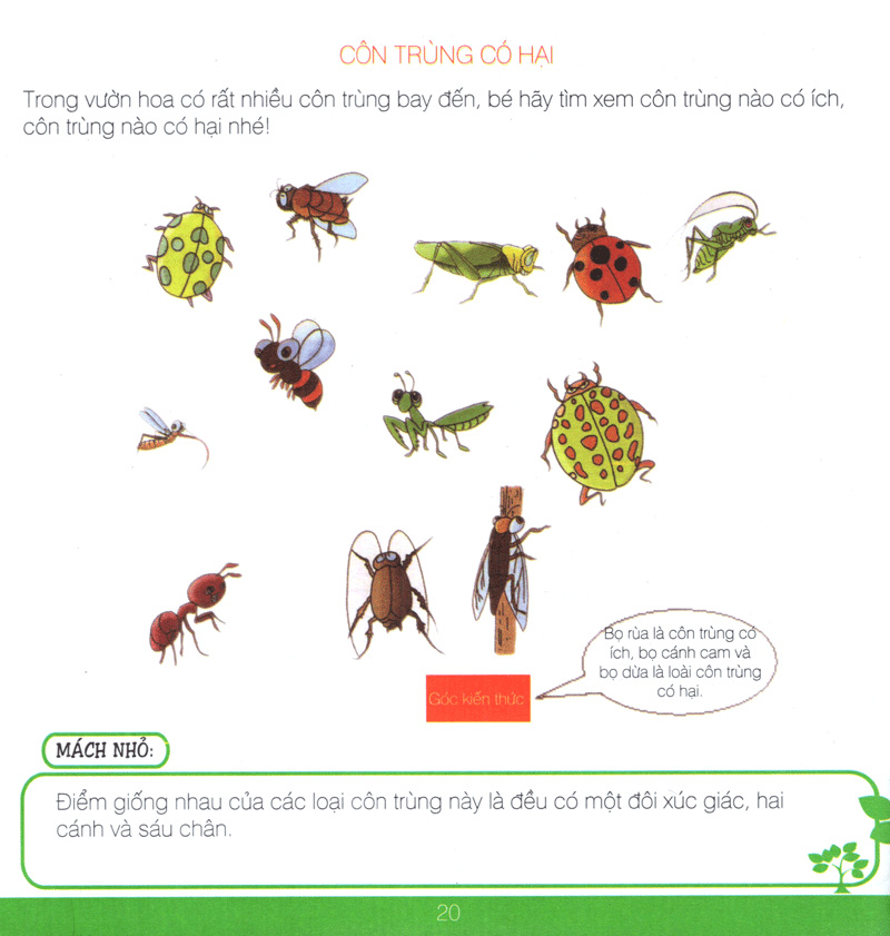 lớp học gia đình (6 tuổi) - Ảnh 19