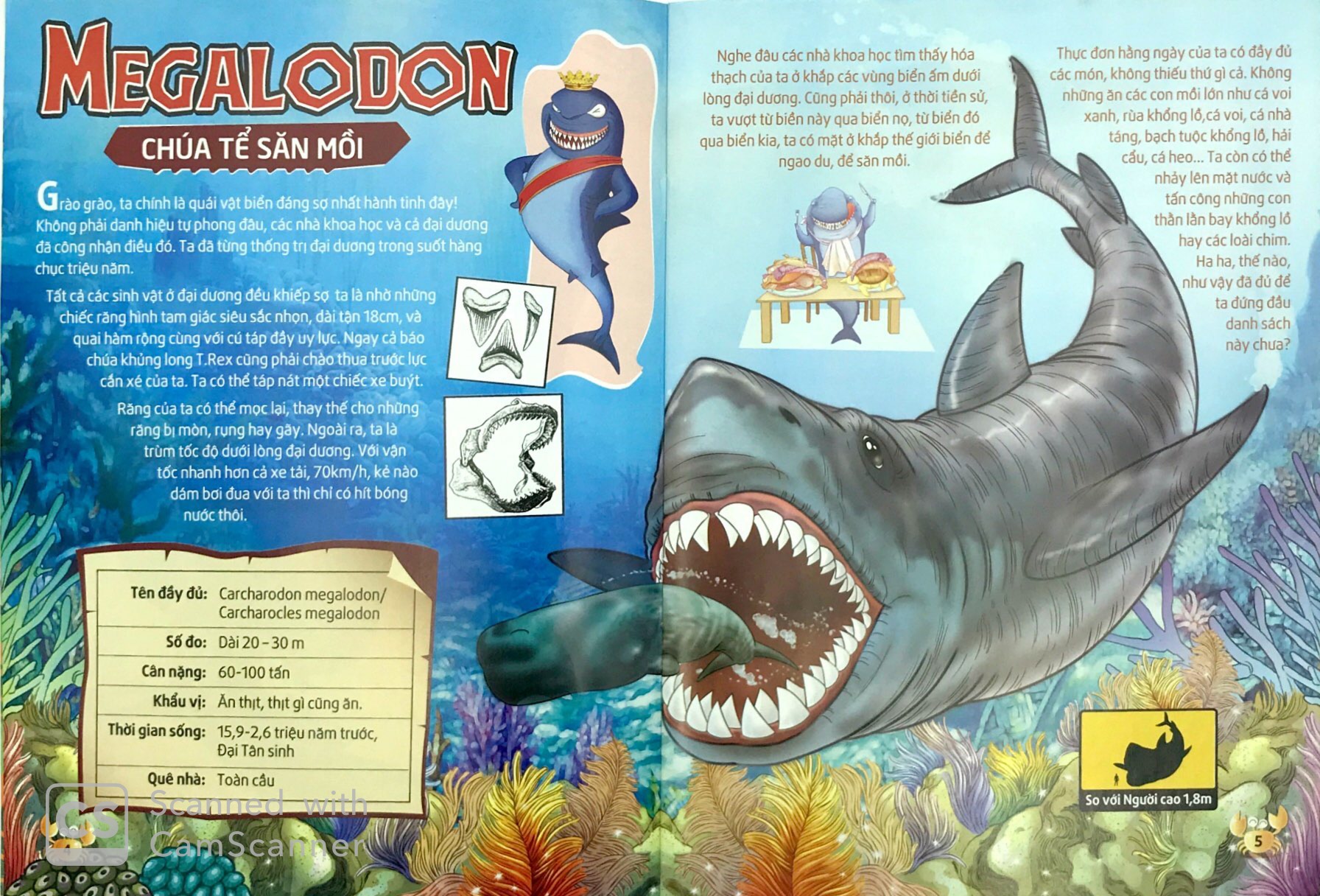 lớp học thời tiền sử - sát thủ đại dương - Ảnh 3