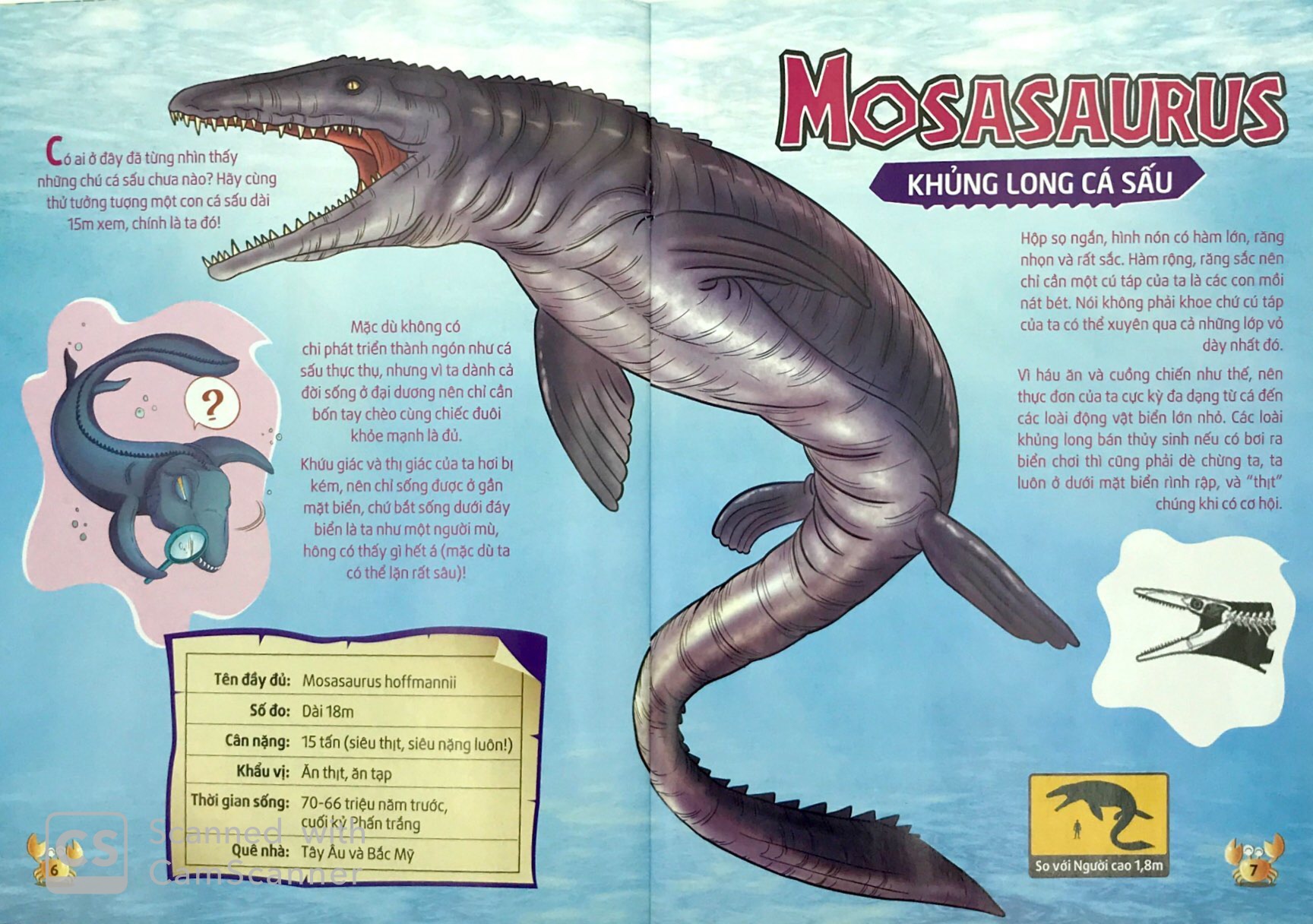 lớp học thời tiền sử - sát thủ đại dương - Ảnh 4